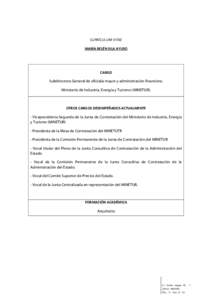 CURRÍCULUM VITAE MARÍA BELÉN ISLA AYUSO CARGO Subdirectora General de oficialía mayor y administración financiera. Ministerio de Industria, Energía y Turismo (MINETUR).