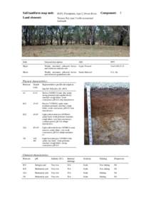 back Soil landform map unit: Land element: FLP2; Floodplain, type 2, Ovens River