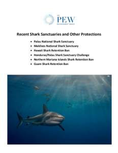 Marine conservation / Shark sanctuary / Shark finning / Island countries / Shark / Palau / Outline of sharks / Fish / Sharks / Fisheries science