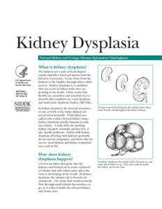 Kidney Dysplasia National Kidney and Urologic Diseases Information Clearinghouse  What is kidney dysplasia?