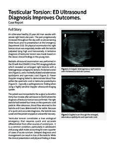 Male reproductive system / Medical emergencies / Medical ultrasound / Testicular torsion / Testicular pain / Testicle / Spermatic cord / Medical ultrasonography / Ultrasound / Medicine / Health / Anatomy