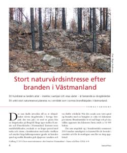 Foto: Roger Andersson  Stort naturvårdsintresse efter branden i Västmanland Ett hundratal av landets arter – insekter, svampar och vissa växter – är beroende av skogsbränder. Ett unikt stort naturreservat planer