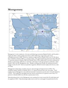 Montgomery  Montgomery’s main employers—the state and federal governments, Baptist Health, and Hyundai— largely provided a steady employment base in 2010, following a huge jump in the area’s unemployment rate in 