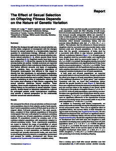 The Effect of Sexual Selection on Offspring Fitness Depends on the Nature of Genetic Variation