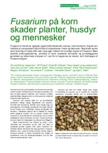 Planteforskning.dk August 2008 Baggrund/Aktuel forskning Fusarium på korn skader planter, husdyr