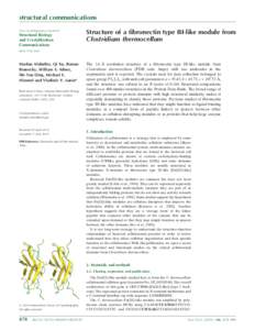 Structure of a fibronectin type III-like module from Clostridium thermocellum