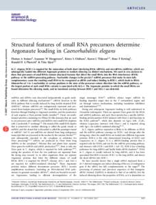 © 2007 Nature Publishing Group http://www.nature.com/nsmb  ARTICLES Structural features of small RNA precursors determine Argonaute loading in Caenorhabditis elegans