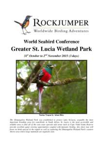 World Seabird Conference  Greater St. Lucia Wetland Park 31st October to 2nd November[removed]days)  Narina Trogon by Adam Riley