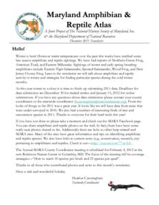 Maryland Amphibian & Reptile Atlas A Joint Project of The Natural History Society of Maryland, Inc. & the Maryland Department of Natural Resources December 2011 Newsletter