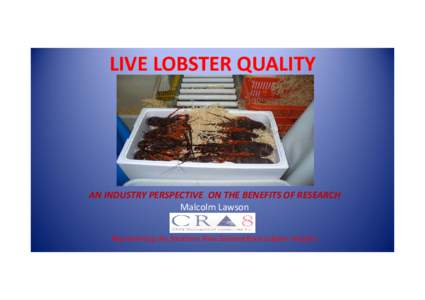 Microsoft PowerPoint - Presentation To Research  Seminar LIVE LOBSTER QUALITY malcolm lawson.pptx