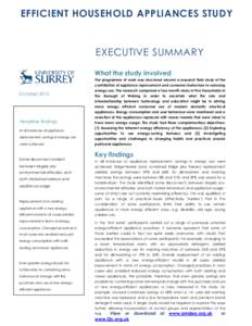 Microsoft Word - Exec summary AMDEA-Surrey study final