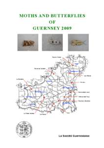 Geography of Europe / Europe / Sure / Pleinmont-Torteval / Alderney / Guernsey / Geography of the Channel Islands / Channel Islands
