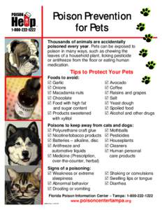 Poison Prevention for Pets
