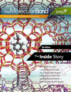Zeolites  The Inside Story Also inside this issue: