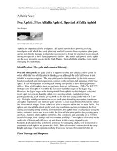 Microsoft Word - PeaAphidBlueAlfalfaAphidSpottedAlfalfaAphid-AlfalfaSeed.doc