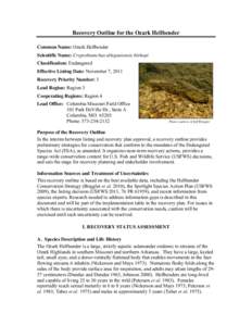 Recovery Outline for the Ozark Hellbender Common Name: Ozark Hellbender Scientific Name: Cryptobranchus alleganiensis bishopi Classification: Endangered Effective Listing Date: November 7, 2011 Recovery Priority Number: 