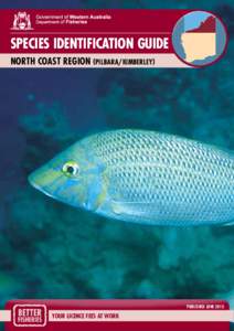 SPECIES IDENTIFICATION GUIDE NORTH COAST Region (PILBARA/KIMBERLEY) PUBLISHED JUNE[removed]Your licence fees at work