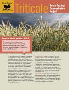 Triticale  Swath Grazing Demonstration Project