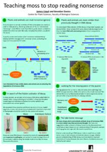 Teaching moss to stop reading nonsense James Lloyd and Brendan Davies Centre for Plant Sciences, Faculty of Biological Sciences 1  Plants and animals can read nonsense (genes)