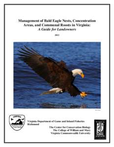 Eagles / Conservation in the United States / National symbols of Mexico / Bald and Golden Eagle Protection Act / United States Fish and Wildlife Service / Bald eagle / Golden eagle / Migratory Bird Treaty Act / Endangered Species Act / National Eagle Repository / Status and conservation of the golden eagle