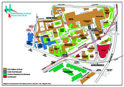 HCN_Plan de masse couleur