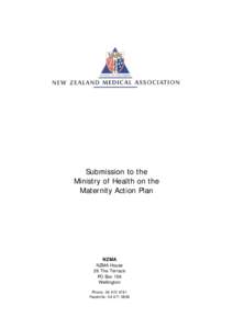 Submission: Maternity Action Plan