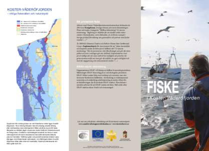 KOSTER-VÄDERÖFJORDEN – viktiga fiskevatten och naturskydd Ett prisbelönt fiske  Hav - djupare än 60 m (trålning av räka tillåtet)