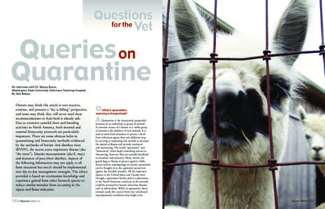 Questions for the Vet Queries on Quarantine