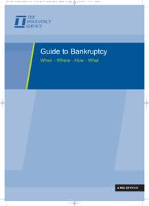 Business / Personal finance / Official Receiver / Individual voluntary arrangement / Debtor / Bankruptcy in the Republic of Ireland / Bankruptcy / Insolvency / Law