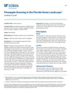 HS7  Pineapple Growing in the Florida Home Landscape1