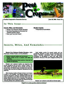 June 30, [removed]Issue 14  Purdue Cooperative Extension Service In This Issue Insects, Mites, and Nematodes