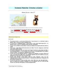 Microsoft Word - Cricetus cricetus factsheet - SWIFI.doc