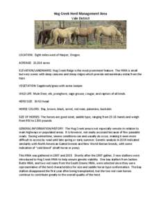 Zoology / Roan / Equine coat color / Horse / Palomino / Spanish Mustang / Horse coat colors / Equidae / Equus