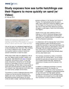 Study exposes how sea turtle hatchlings use their flippers to move quickly on sand (w/ Video)