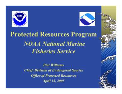 Protected Resources Program NOAA National Marine Fisheries Service Phil Williams Chief, Division of Endangered Species Office of Protected Resources