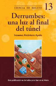 Derrumbes: una luz al final del túnel Gobierno del Distrito Federal Marcelo Ebrard Casaubón Jefe de Gobierno