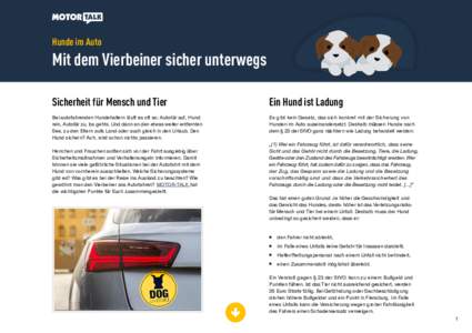 Hunde im Auto  Mit dem Vierbeiner sicher unterwegs Sicherheit für Mensch und Tier  Ein Hund ist Ladung