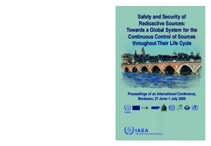 Safety and Security of Radioactive Sources: Towards a Global System for the Continuous Control of Sources throughout Their Life Cycle