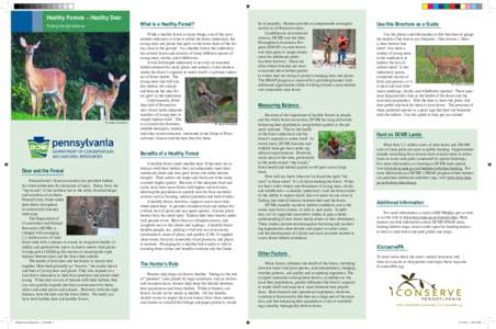 Healthy Forests – Healthy Deer Finding the right balance Pa. Game Commission  What is a Healthy Forest?