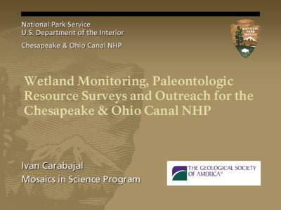 Wetland / Chesapeake and Ohio Canal / Ecology / Palustrine / Aquatic ecology / Cumberland /  Maryland / Water