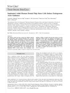 Developmental biology / Proteins / Biotechnology / Stromal cell-derived factor-1 / Netrin / Neural development / Axon guidance / CXCR4 / Rhombomere / Biology / Stem cells / Developmental neuroscience