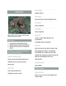 Microsoft Word - Beavers Tharp final.doc