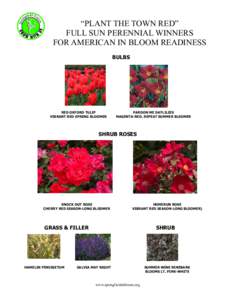 “PLANT THE TOWN RED” FULL SUN PERENNIAL WINNERS FOR AMERICAN IN BLOOM READINESS BULBS  RED OXFORD TULIP