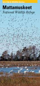 U.S. Fish & Wildlife Service  Mattamuskeet National Wildlife Refuge