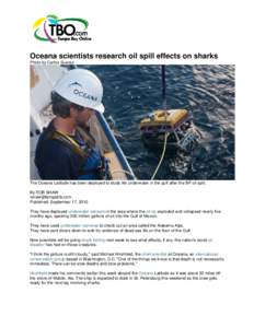 Oceana scientists research oil spill effects on sharks Photo by Carlos Suarez The Oceana Latitude has been deployed to study life underwater in the gulf after the BP oil spill. By ROB SHAW [removed]