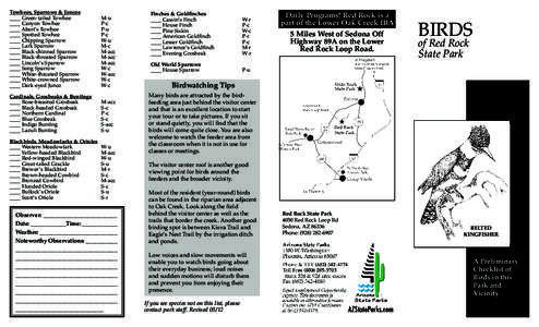 New World warbler / Tanager / Birds of Glacier National Park / Ornithology / Shollenberger Park / Rufous / Grosbeak / Pine Siskin