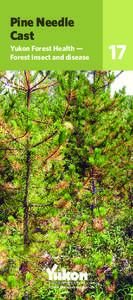 Pine Needle Cast Yukon Forest Health — Forest insect and disease  Energy, Mines and Resources