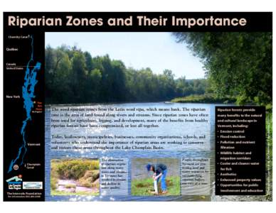 Riparian Zones and Their Importance Chambly Canal Québec  Canada
