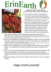 ErinEarth’s Early Tomato Recipe Some hints towards having tomatoes in mid November 1. Put in seed of an early fruiting tomato at the end of June and grow inside the house in a sunny window or buy your seedlings last