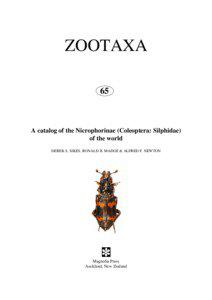 Burying beetle / Biology / Nicrophorini / N. maritimus / Nicrophorus americanus / Nicrophorus insularis / Synonym / Silpha / Nicrophorus orientalis / Silphidae / Zoology / Nicrophorus interruptus